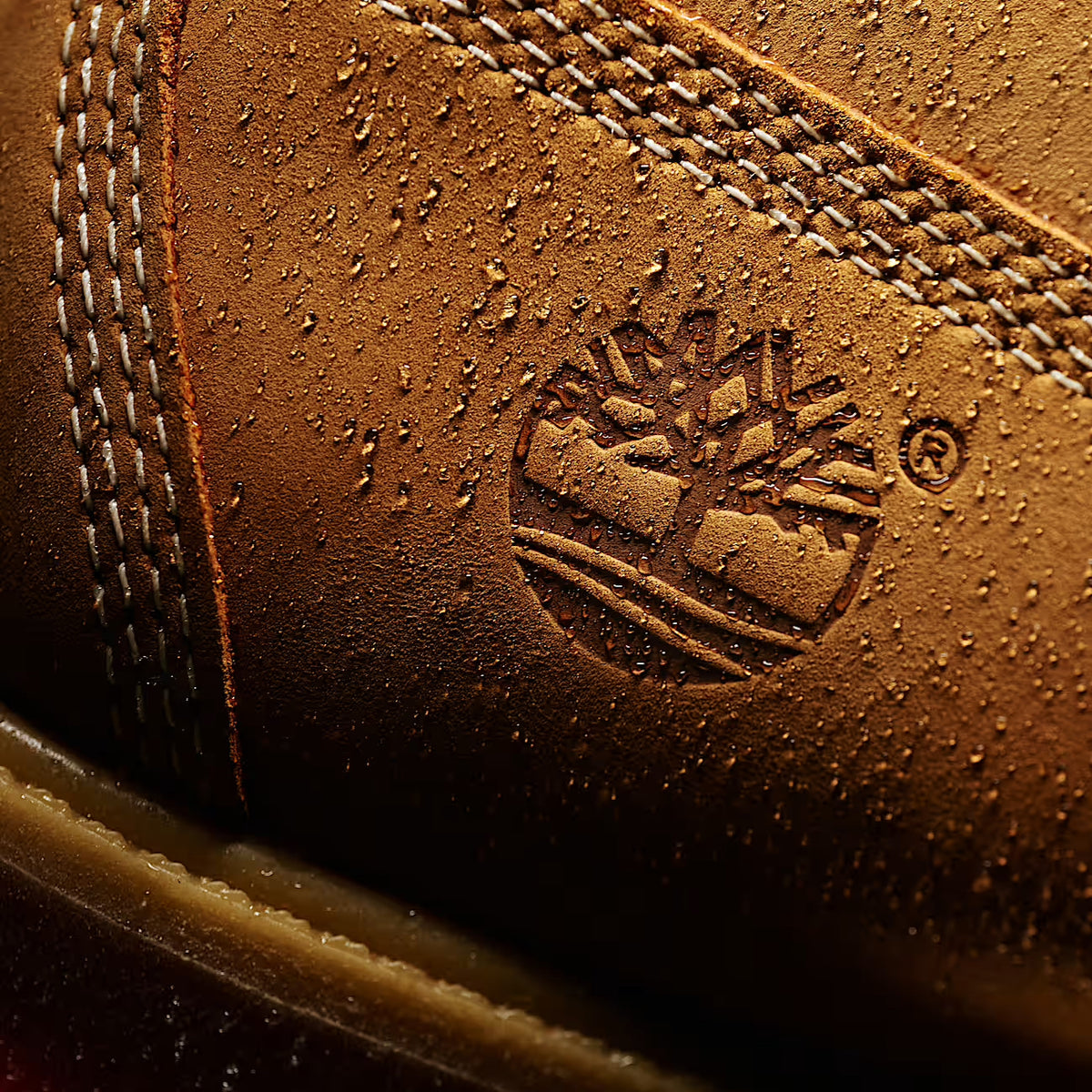 Men's Timberland® Premium 6-Inch Waterproof Boot - WHEAT