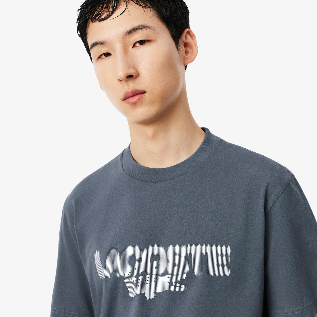 Printed Cotton Jersey T-shirt - Gray