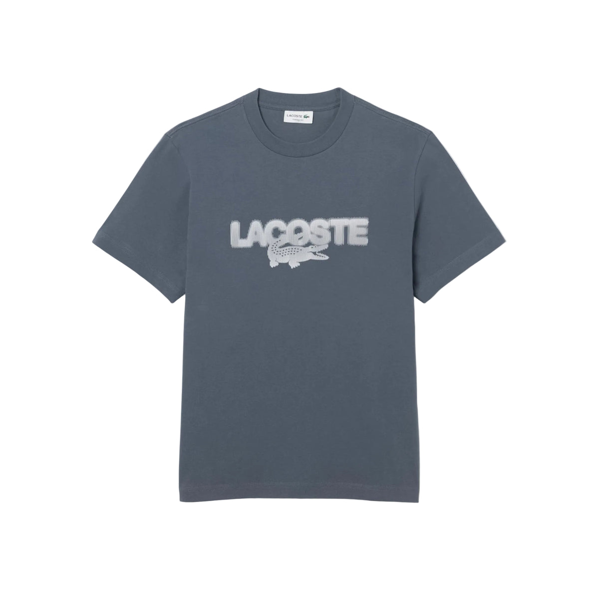 Printed Cotton Jersey T-shirt - Gray